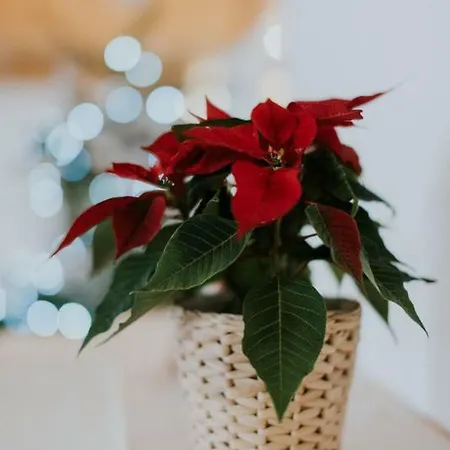 Na Skarpie بيالكا تاترزانسكا